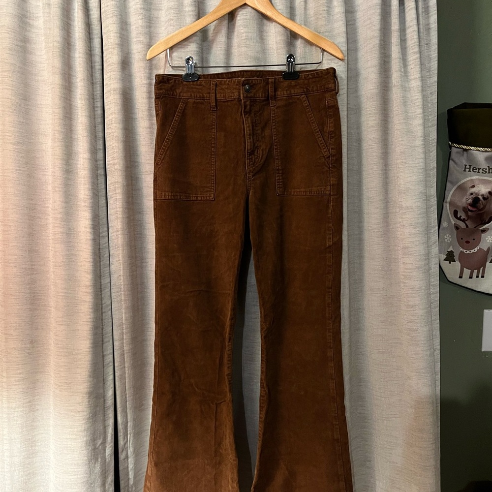 American Eagle Outfitters Chestnut Corduroy Pants